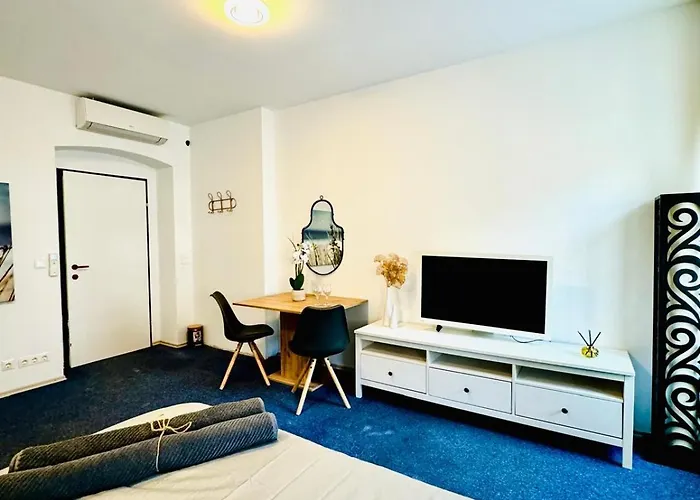 Private In Spacious 7-bedroom Apartment, Prime Location Vienna